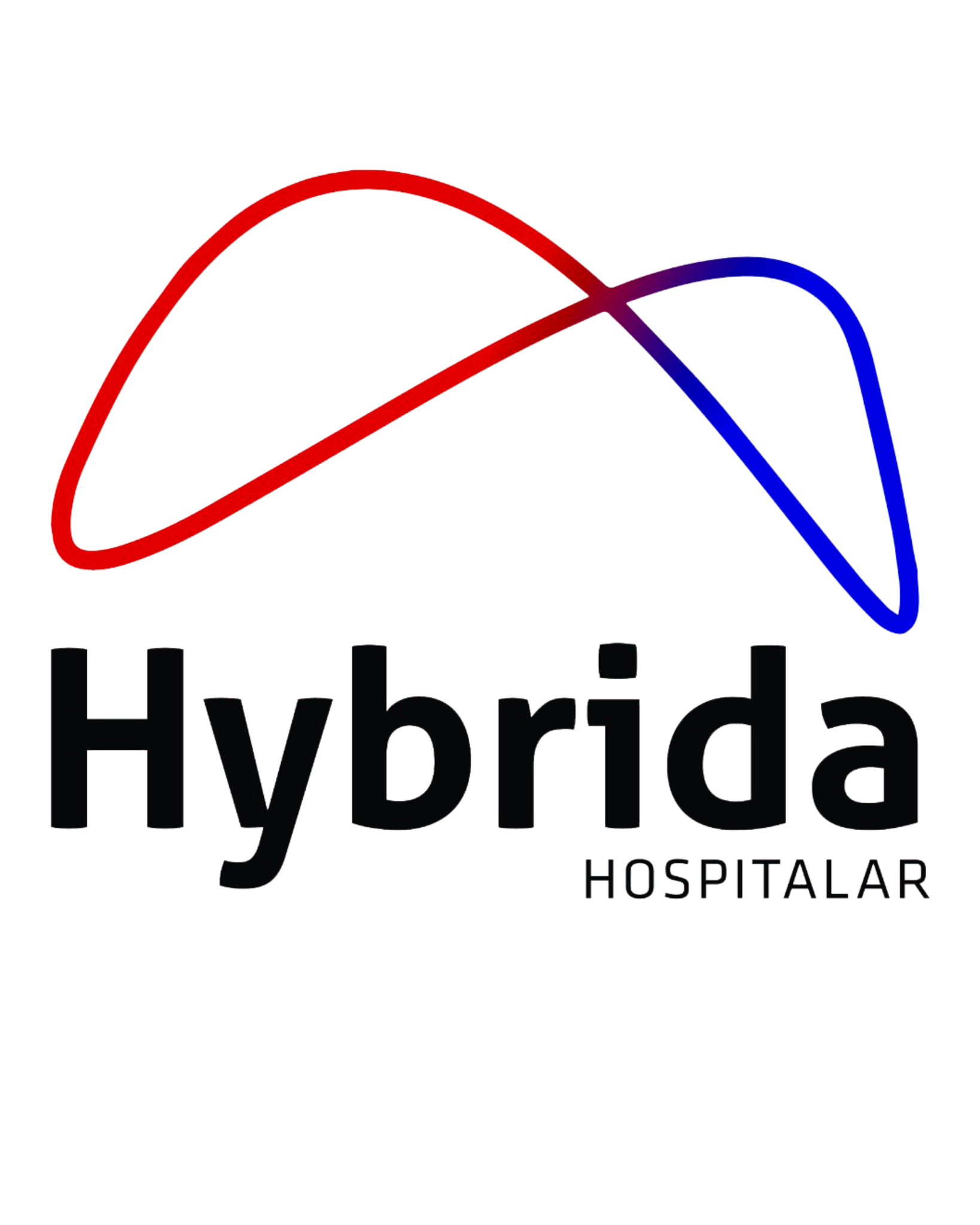 Logo Hybrida Hospitalar